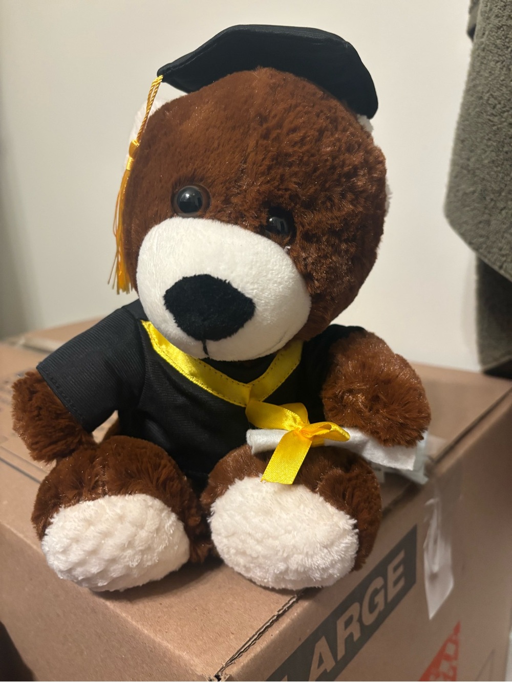 Graduation Teddy Bear Plush in Brown with Black Cap